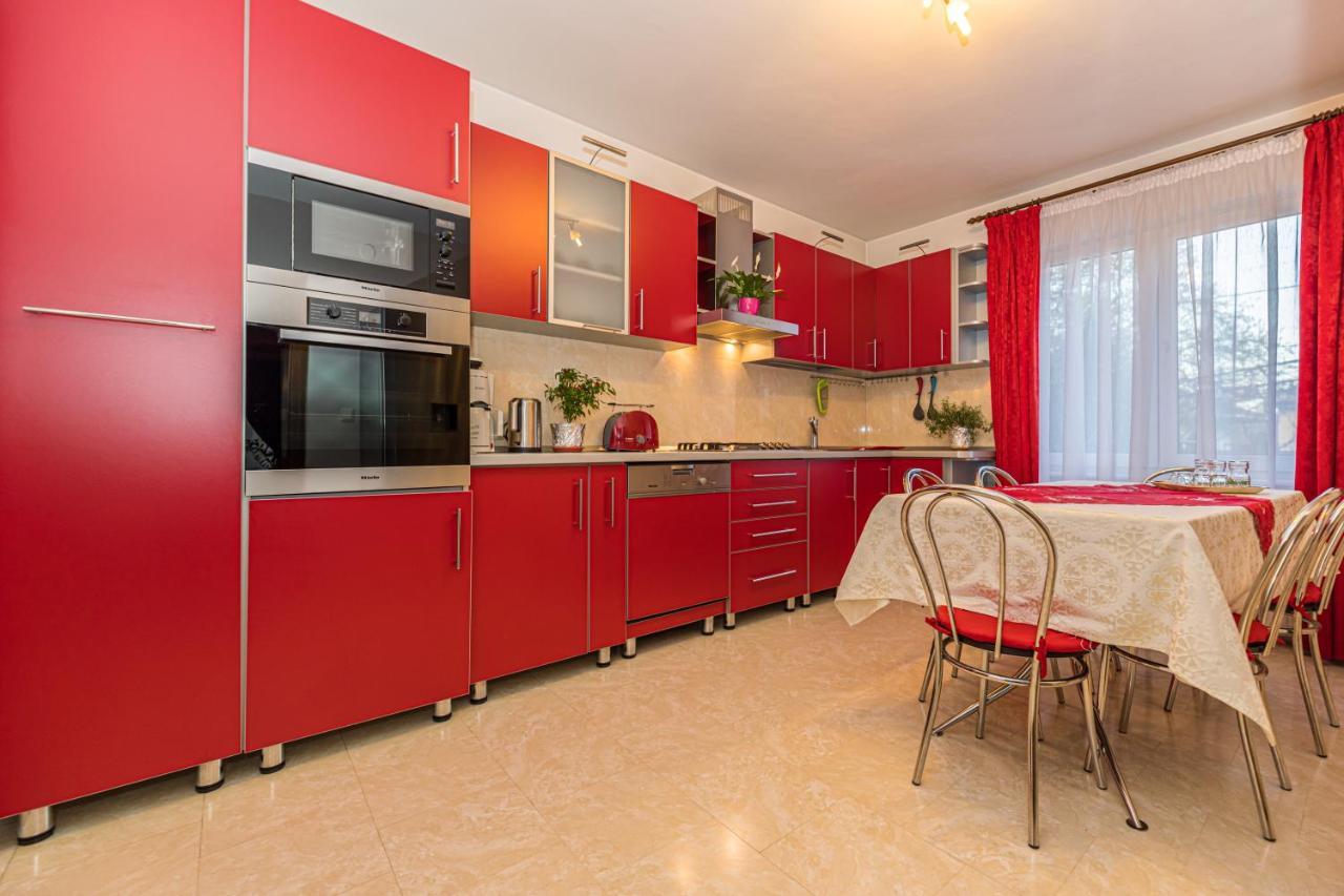 Săcele Casa Davidヴィラ エクステリア 写真