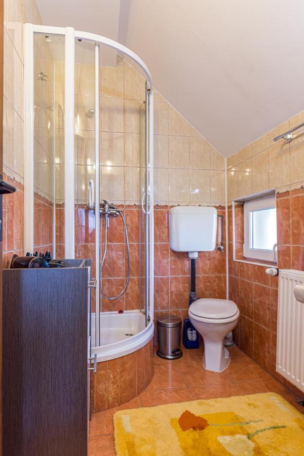 Săcele Casa Davidヴィラ エクステリア 写真