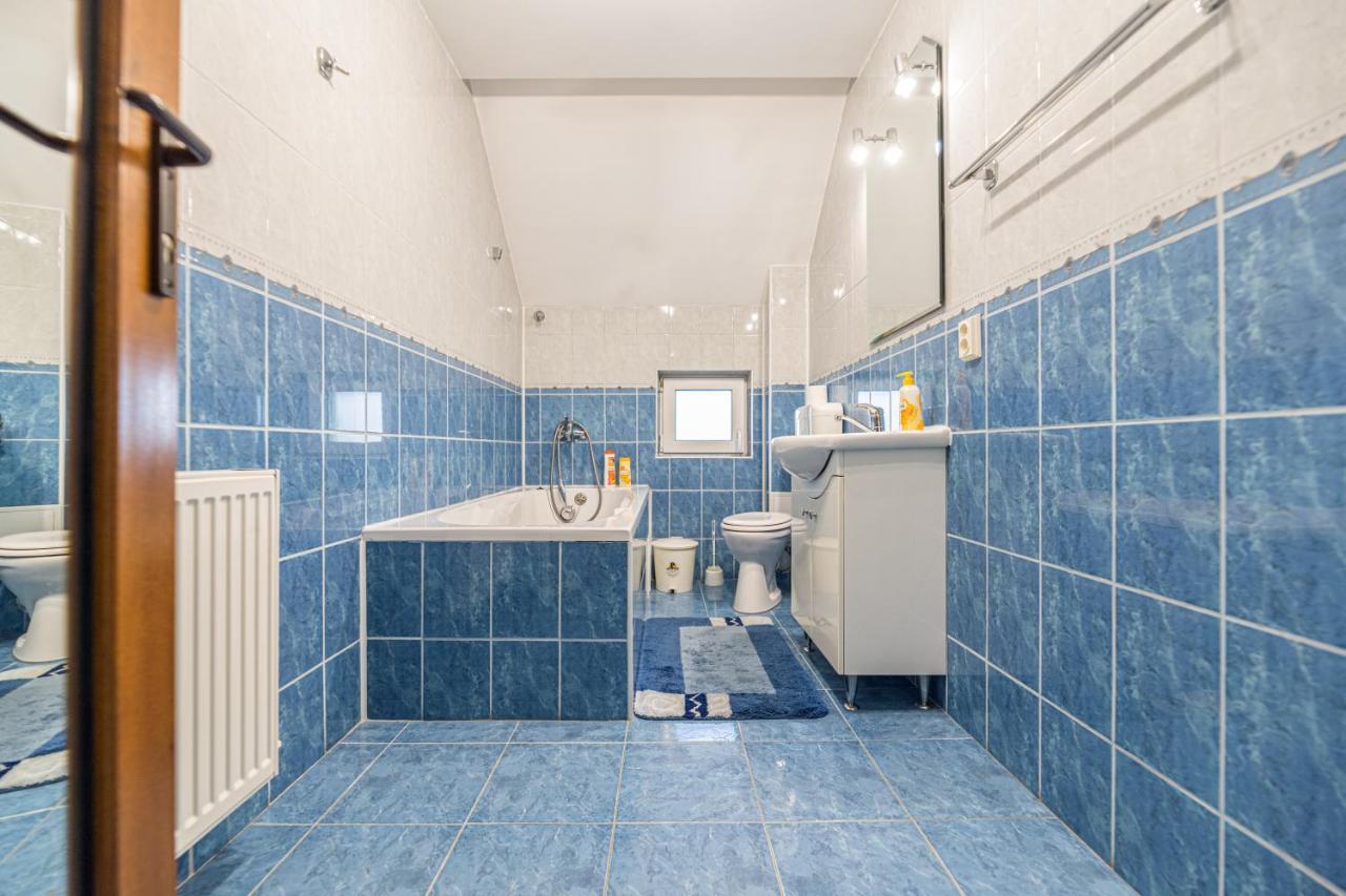 Săcele Casa Davidヴィラ エクステリア 写真